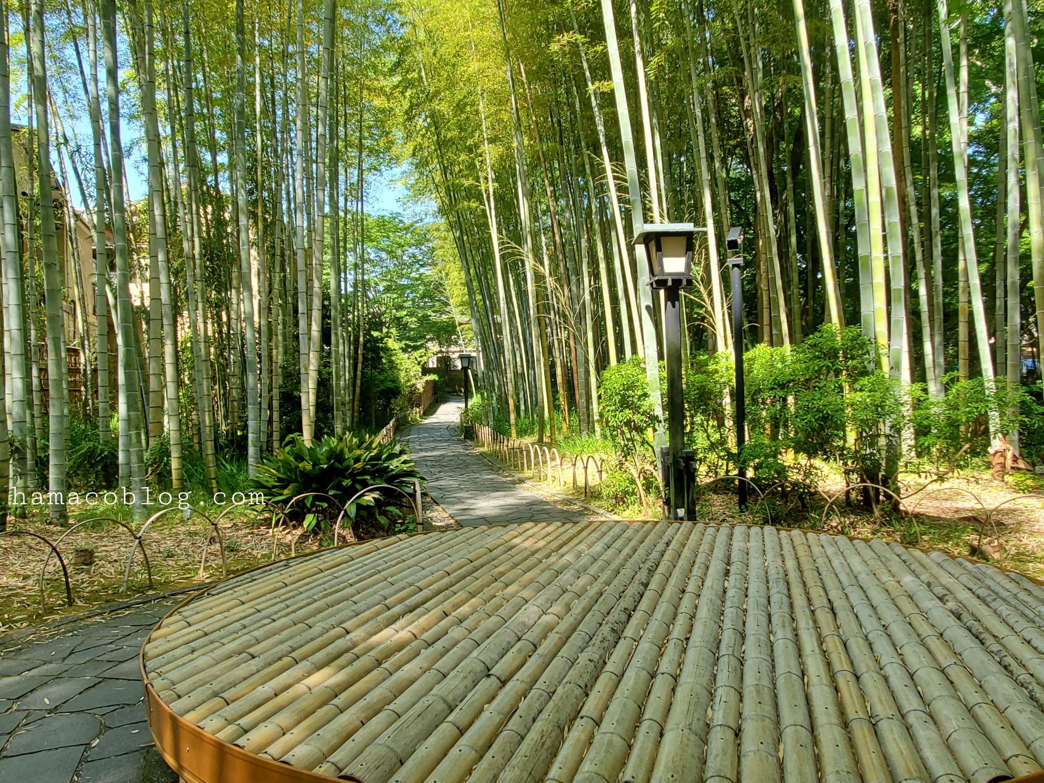 竹林の小径ベンチ