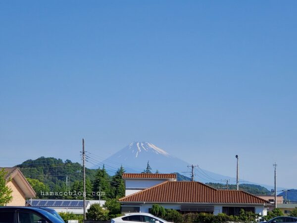 ホテル近くで富士山発見